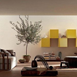 北京装修建材赛思能 品质与选择的完美平衡